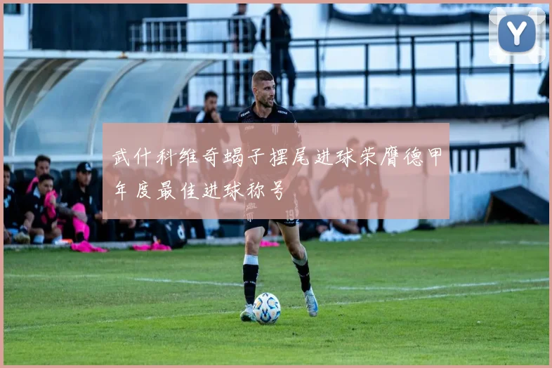 武什科维奇蝎子摆尾进球荣膺德甲年度最佳进球称号